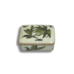 Box Lid