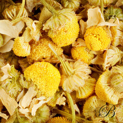 Tisane sachet Camomille