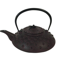 Théière en fonte japonaise Zui Un Argent (1,2L)